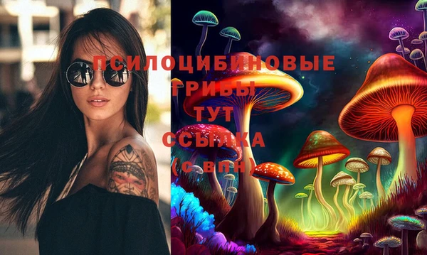 СК Арсеньев