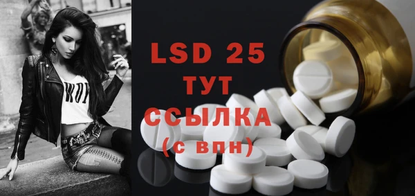 ГАЛЛЮЦИНОГЕННЫЕ ГРИБЫ Аркадак