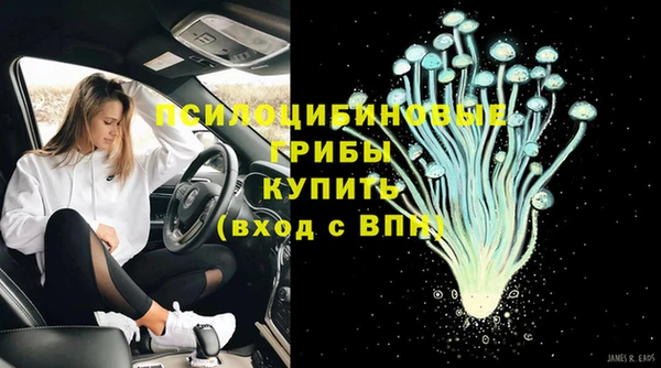 ГАЛЛЮЦИНОГЕННЫЕ ГРИБЫ Аркадак