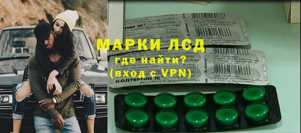 ГАЛЛЮЦИНОГЕННЫЕ ГРИБЫ Аркадак