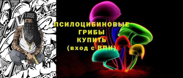 ГАЛЛЮЦИНОГЕННЫЕ ГРИБЫ Аркадак