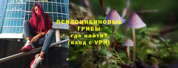 СК Арсеньев