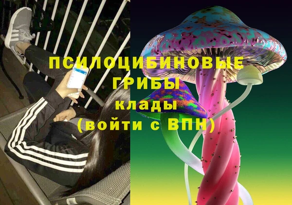 твердый Армянск